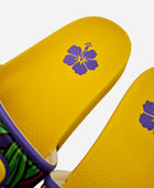 IB 2026 Slippers