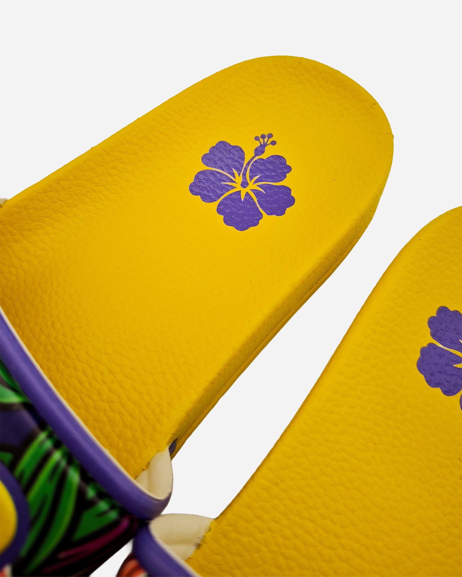 IB 2026 Slippers